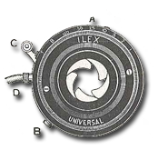 Ilex Universal
